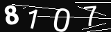 verifycode